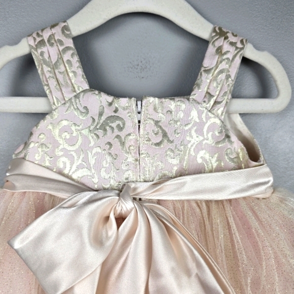 CHANTILLY PLACE Tool Flower Formal Dress Champagne Blush Baby Girl Sz 18 Months - Picture 4 of 12
